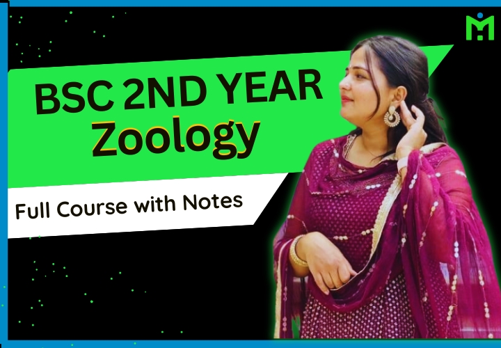 BSc 2nd Year Zoology - Full Course with Free Notes